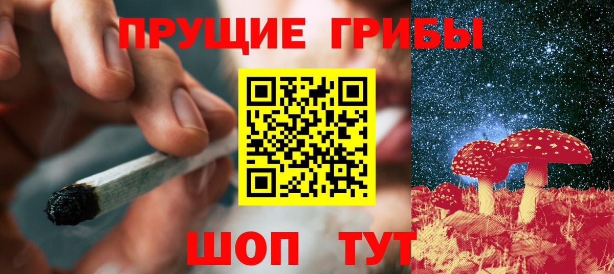 Псилоцибиновые грибы Cubensis  Вход с VPN  Галлюциногенные грибы мухоморы  Кольчугино 